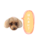 ろったんの日常（個別スタンプ：11）