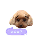 ろったんの日常（個別スタンプ：12）
