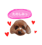 ろったんの日常（個別スタンプ：13）