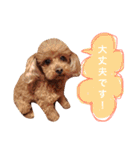 ろったんの日常（個別スタンプ：14）