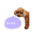 ろったんの日常（個別スタンプ：16）