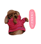ろったんの日常（個別スタンプ：18）