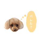 ろったんの日常（個別スタンプ：19）