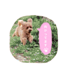 ろったんの日常（個別スタンプ：20）