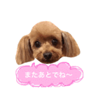 ろったんの日常（個別スタンプ：21）
