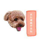 ろったんの日常（個別スタンプ：24）