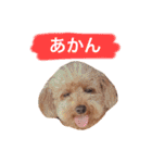 ろったんの日常（個別スタンプ：27）