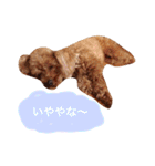 ろったんの日常（個別スタンプ：28）