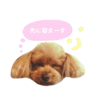 ろったんの日常（個別スタンプ：31）