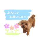 ろったんの日常（個別スタンプ：33）