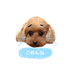 ろったんの日常（個別スタンプ：34）