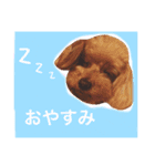 ろったんの日常（個別スタンプ：35）