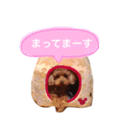 ろったんの日常（個別スタンプ：37）
