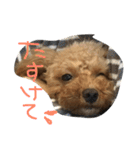 ミントくん。（個別スタンプ：2）