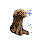 ミントくん。（個別スタンプ：6）