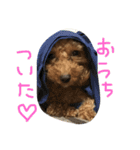 ミントくん。（個別スタンプ：7）