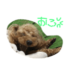 ミントくん。（個別スタンプ：10）