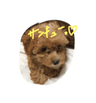 ミントくん。（個別スタンプ：11）