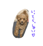 ミントくん。（個別スタンプ：16）
