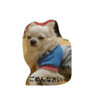kintokilove2（個別スタンプ：3）