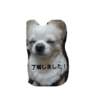 kintokilove2（個別スタンプ：5）