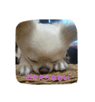 kintokilove2（個別スタンプ：6）
