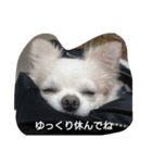 kintokilove2（個別スタンプ：8）