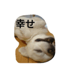 kintokilove2（個別スタンプ：9）