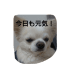 kintokilove2（個別スタンプ：10）