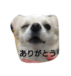 kintokilove2（個別スタンプ：11）