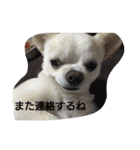 kintokilove2（個別スタンプ：12）