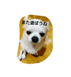 kintokilove2（個別スタンプ：13）