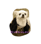 kintokilove2（個別スタンプ：14）