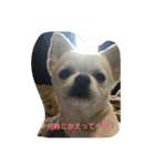 kintokilove2（個別スタンプ：15）