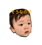 カナタン成長中（個別スタンプ：4）