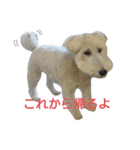 Our Carl 2（個別スタンプ：4）