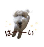 Our Carl 2（個別スタンプ：5）