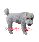 Our Carl 2（個別スタンプ：7）