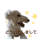 Our Carl 2（個別スタンプ：8）