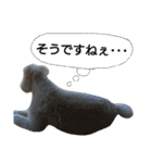 Our Carl 2（個別スタンプ：17）