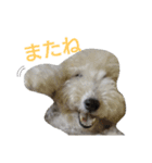 Our Carl 2（個別スタンプ：19）
