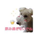Our Carl 2（個別スタンプ：20）