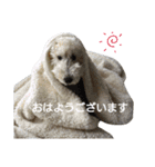 Our Carl 2（個別スタンプ：21）