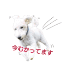 Our Carl 2（個別スタンプ：22）