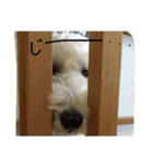 Our Carl 2（個別スタンプ：23）