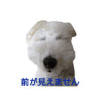 Our Carl 2（個別スタンプ：25）