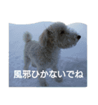 Our Carl 2（個別スタンプ：26）