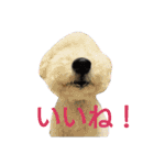 Our Carl 2（個別スタンプ：31）