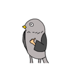 鳥人間だ（個別スタンプ：1）