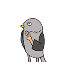 鳥人間だ（個別スタンプ：2）
